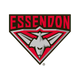 Essendon Bombers
